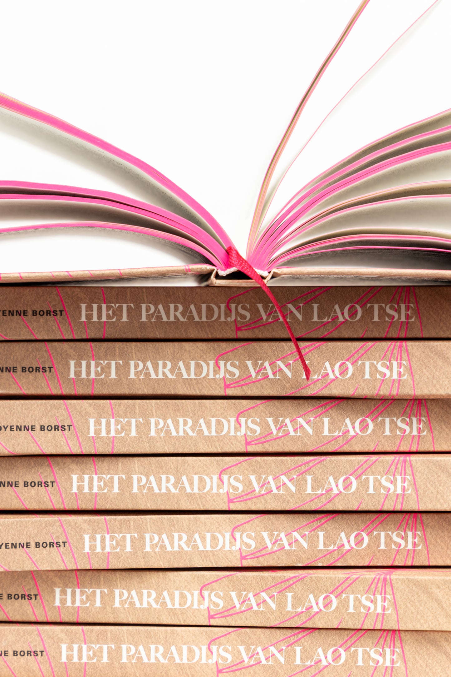 Het paradijs van Lao Tse